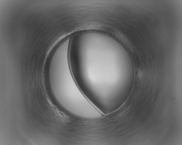 X0000051910676200506241104