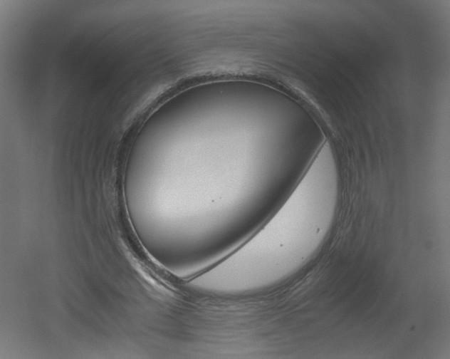 X0000051910677200506241104