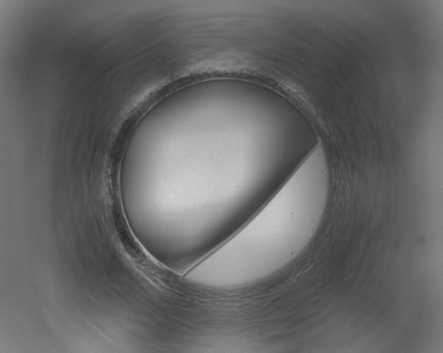 X0000051910680200506241104