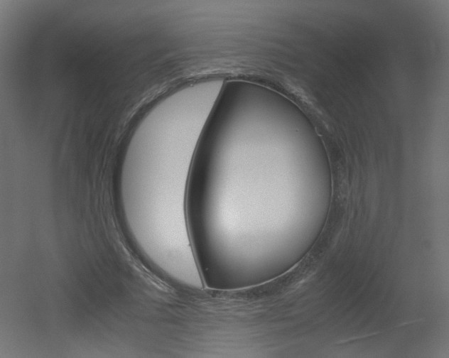 X0000051910681200506241104