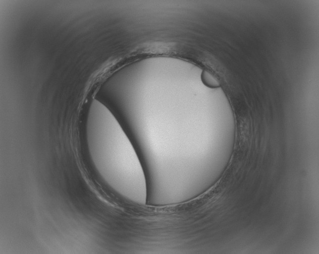 X0000051910682200506241104