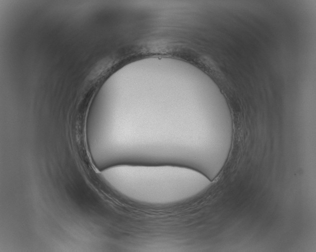 X0000051910683200506241104