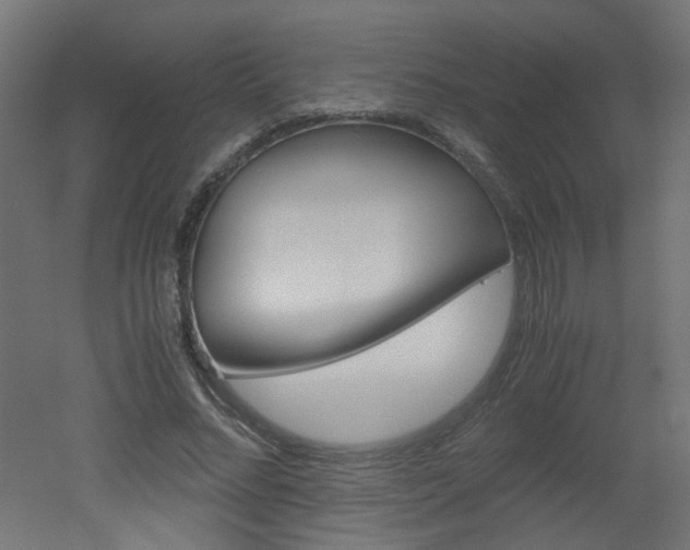 X0000051910684200506241104