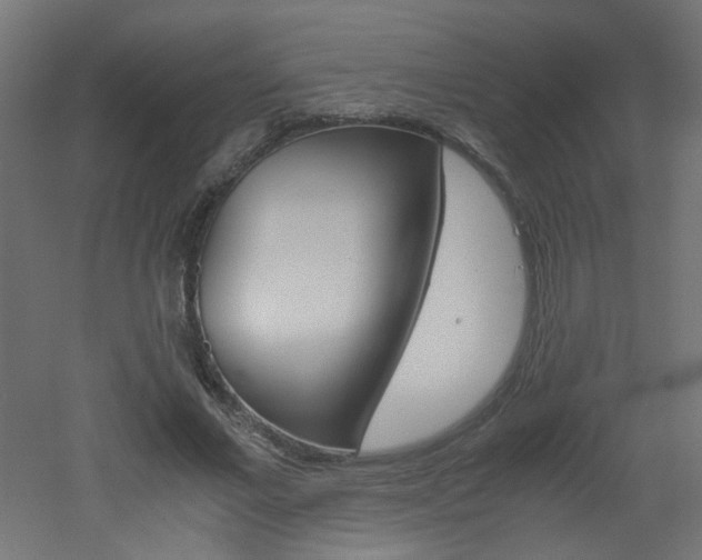 X0000051910685200506241104