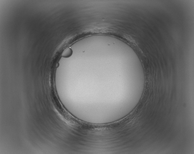 X0000051910686200506241104