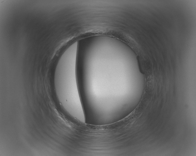X0000051910688200506241103