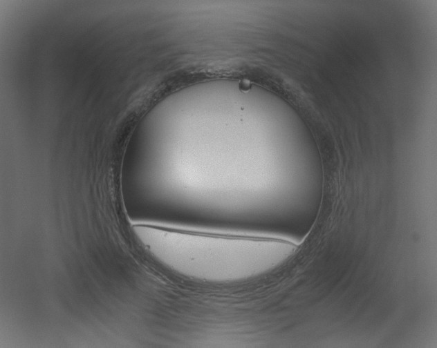 X0000051910689200506241103
