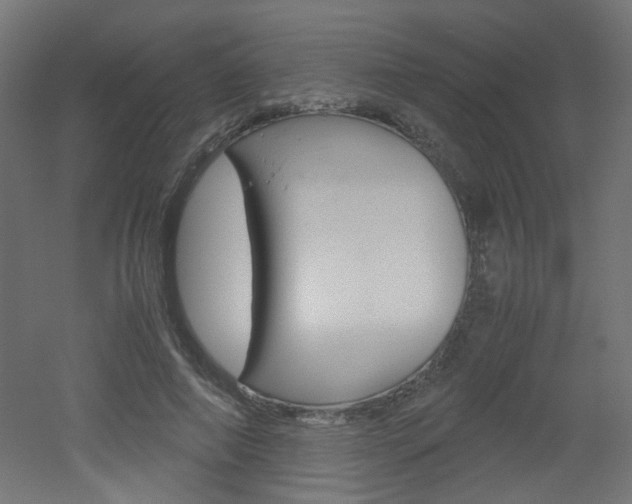 X0000051910690200506241103
