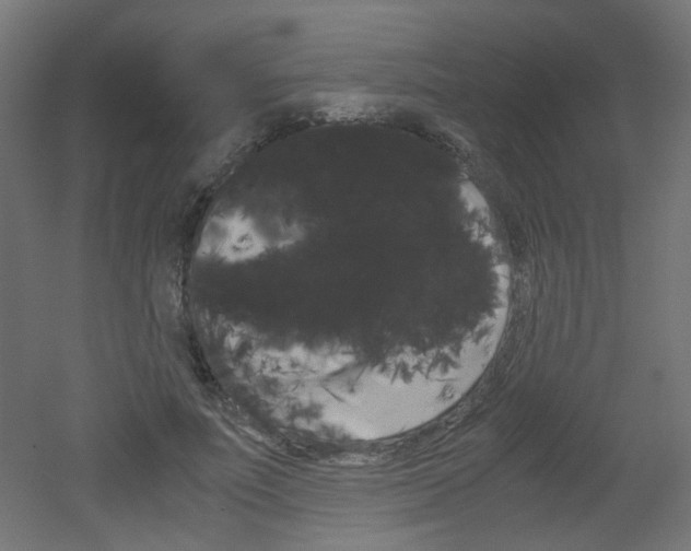 X0000051910691200506241103
