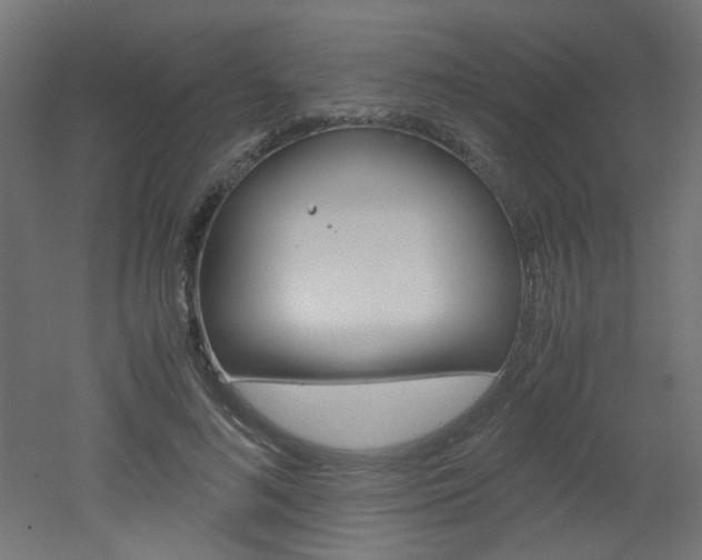 X0000051910692200506241103