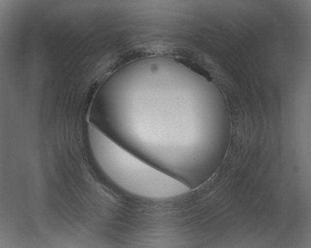 X0000051910696200506241103