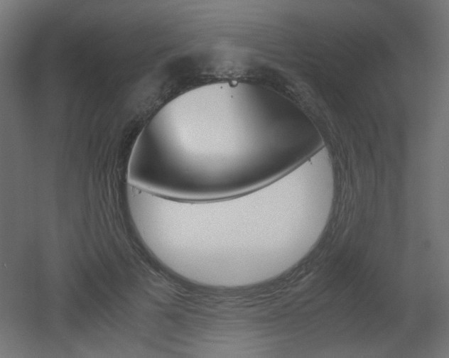 X0000051910697200506241103