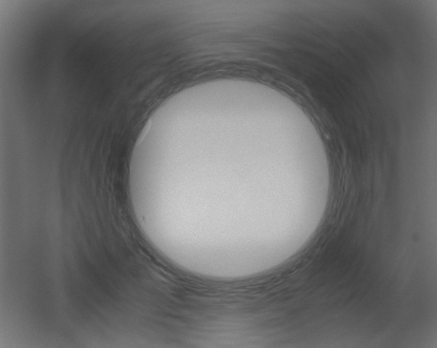 X0000051910701200506241103