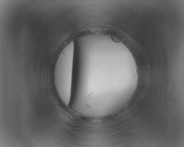 X0000051910702200506241103