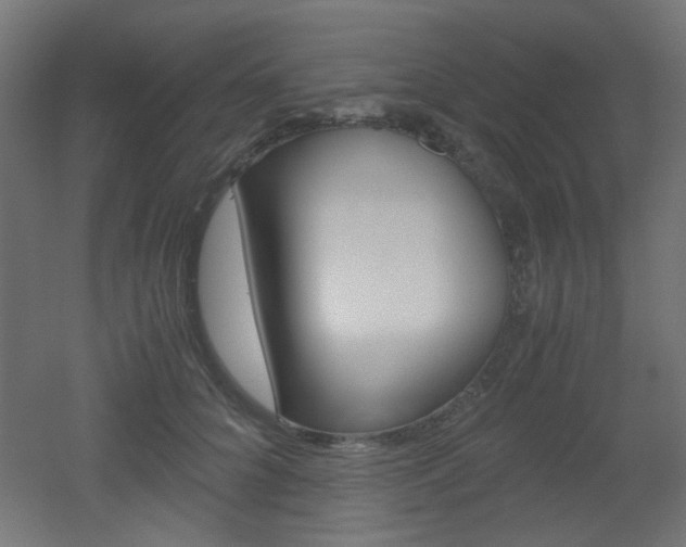 X0000051910704200506241103