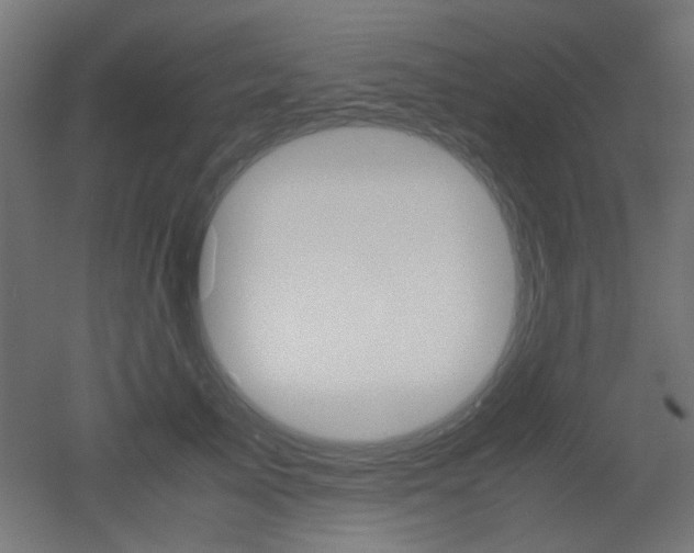 X0000051910705200506241103
