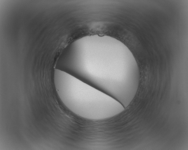 X0000051910706200506241103