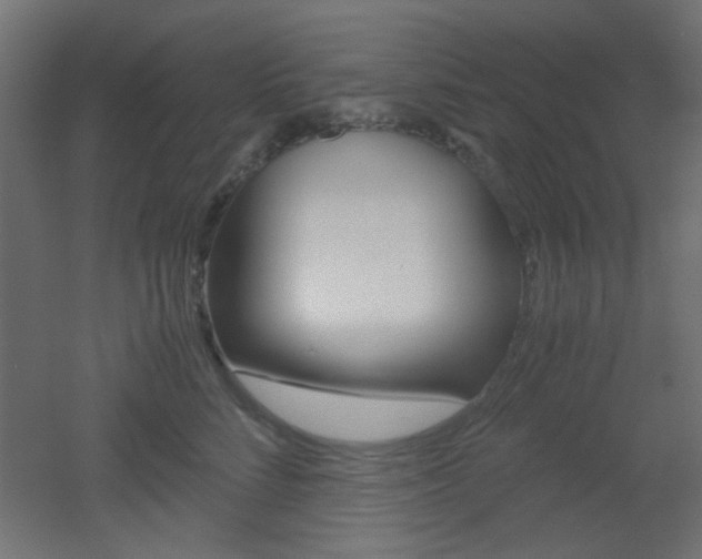 X0000051910712200506241103