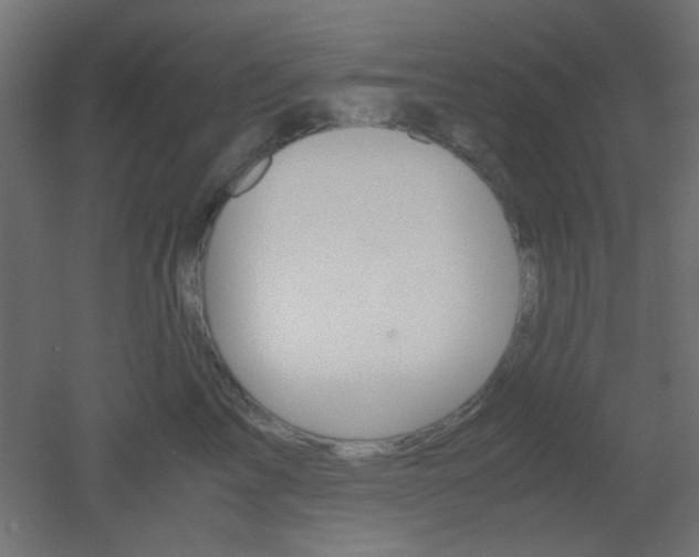 X0000051910713200506241103