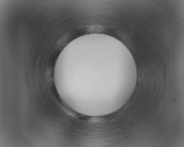 X0000051910714200506241103