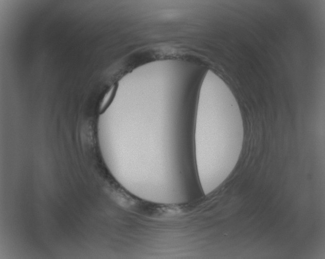 X0000051910715200506241103
