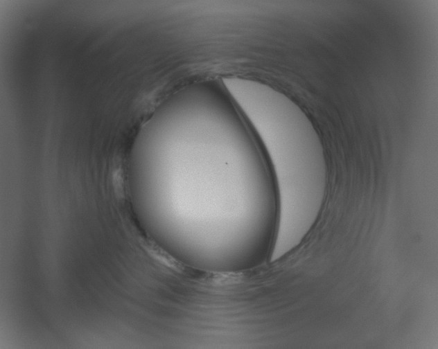 X0000051910720200506241103