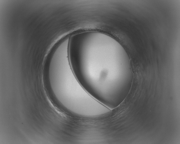X0000051910728200506241102