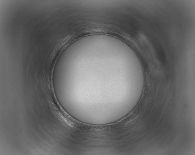 X0000051910729200506241102