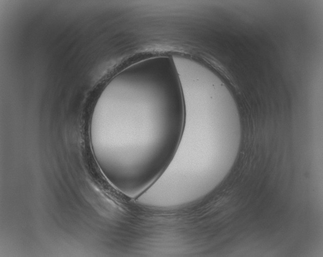 X0000051910732200506241102