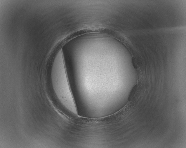X0000051910736200506241102