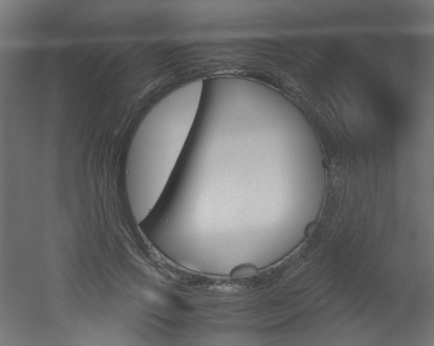 X0000051910741200506241102