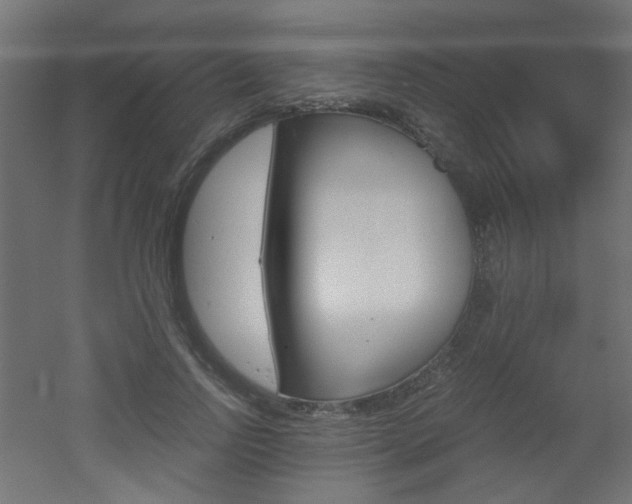 X0000051910742200506241102