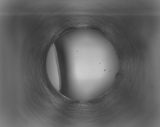 X0000051910743200506241102