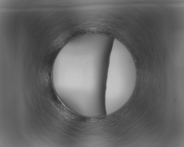 X0000051910746200506241103