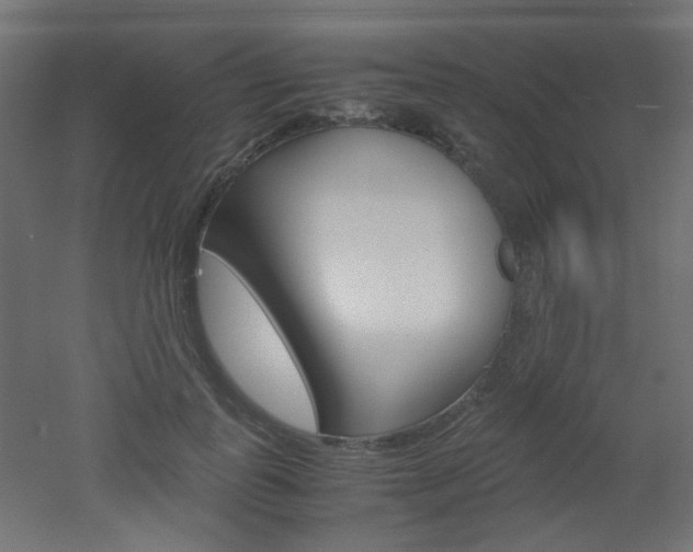 X0000051910747200506241103