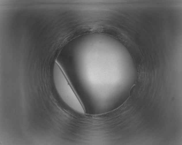 X0000051910748200506241103