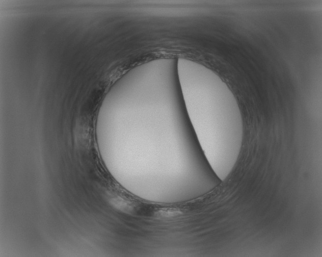 X0000051910749200506241103