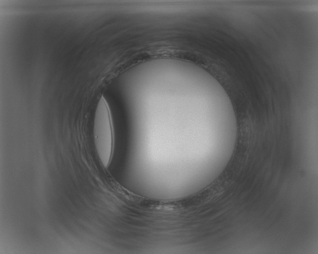 X0000051910751200506241103
