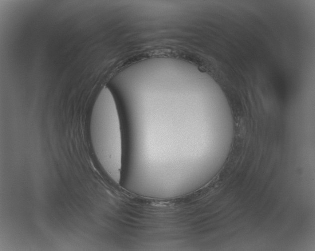 X0000051910753200506241103