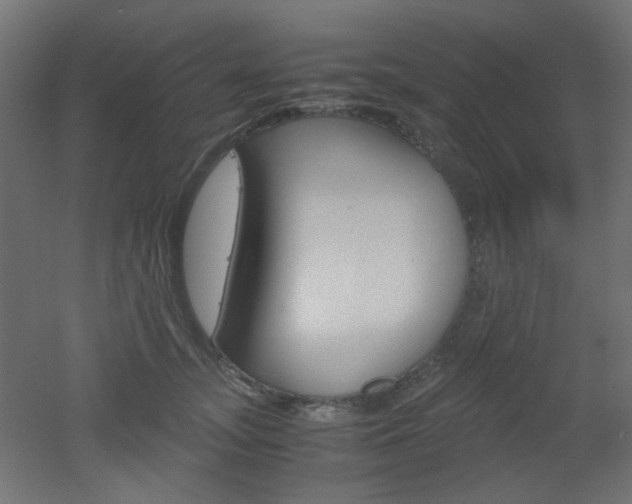 X0000051910755200506241103