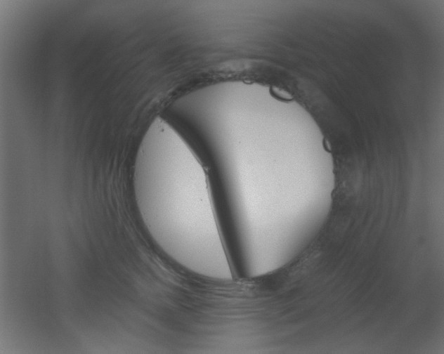 X0000051910758200506241103