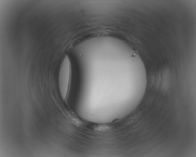 X0000051910759200506241103
