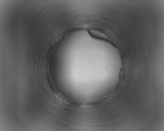 X0000051910760200506241103