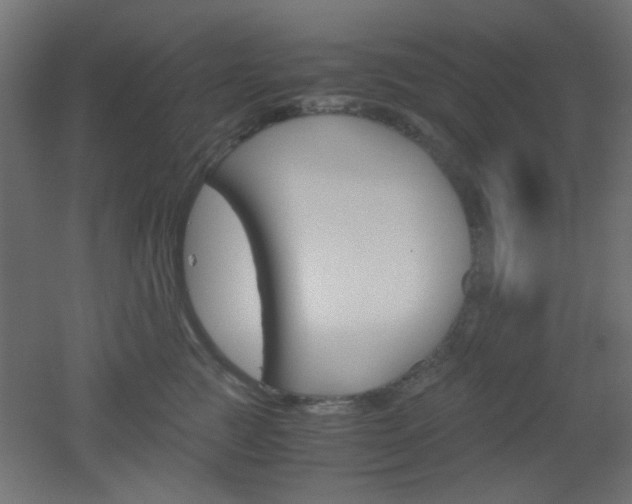 X0000051910761200506241103