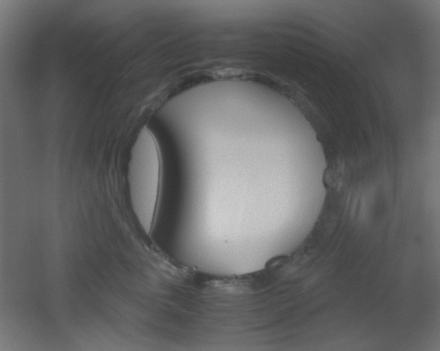 X0000051910763200506241103