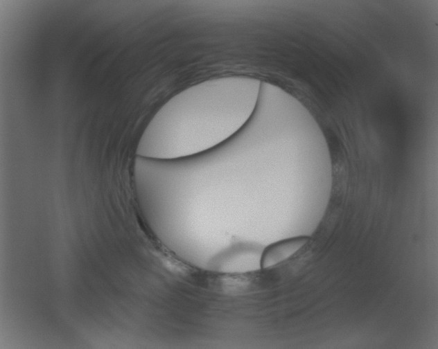 X0000051910765200506241103