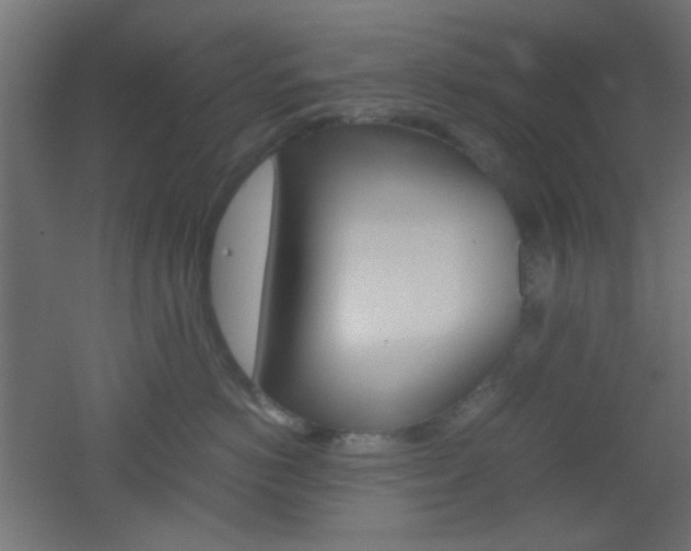 X0000051910766200506241103