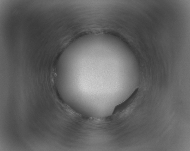 X0000051910768200506241103