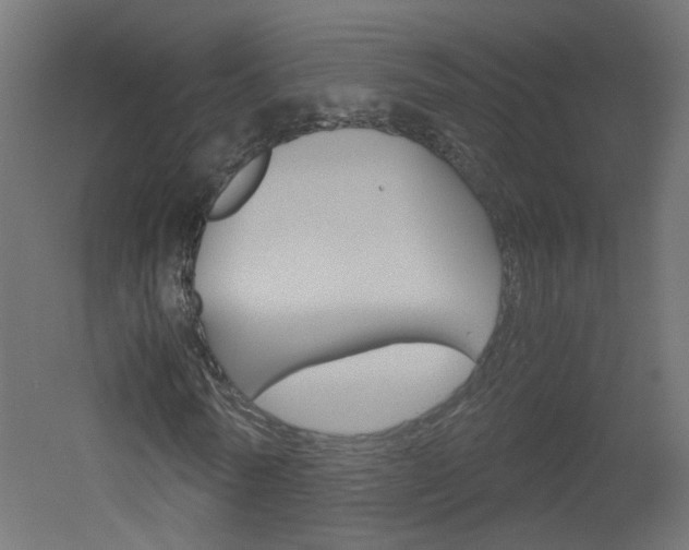 X0000051910770200506241102