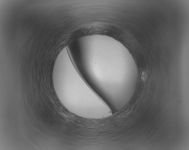 X0000051910771200506241102